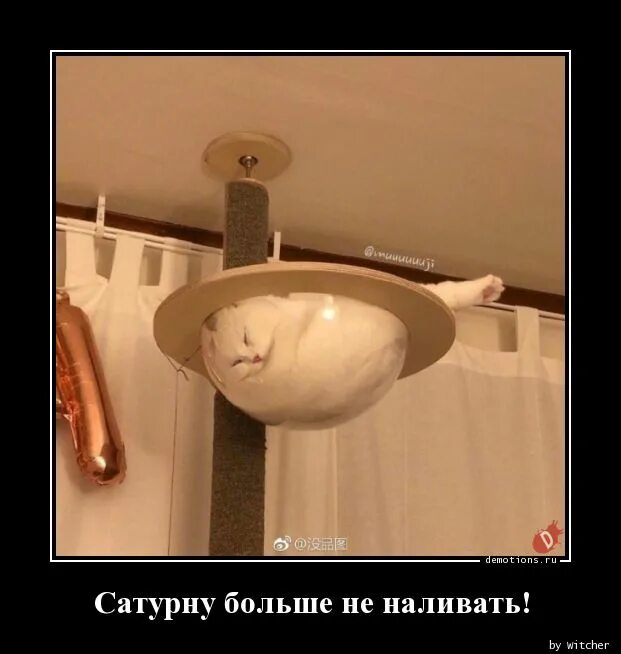 Приколы прокорпоротив. Больше не наливать. Налей больше. Для бутылки чтобы наливать. Налей больше.