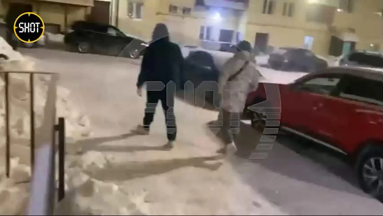 Уренгое разбила 7 машин. Новый уренгой собака афина. Новый уренгой девочка собаки. Новый уренгой девочка собаки. Стая собак.