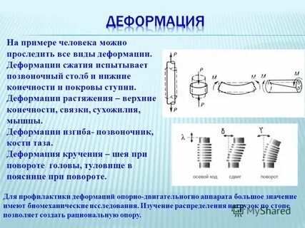 При упругой деформации растяжения удлинение тела обратно
