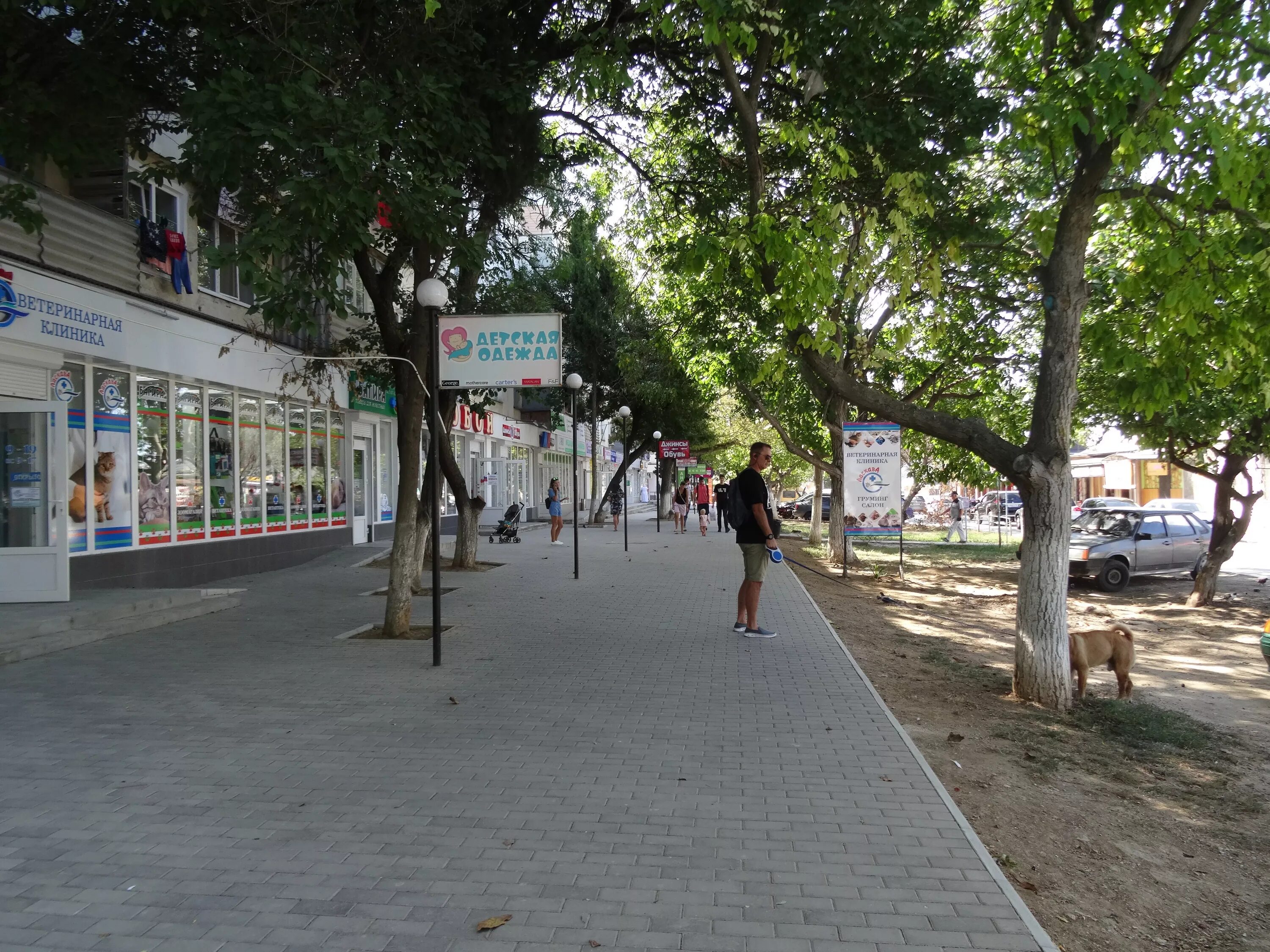 Севастополь пр октябрьской революции 67. Багира севастополь. Россия, севастополь, проспект героев сталинграда, 24а. Багира севастополь зоомагазин. Магазин багира севастополь зоомагазин.