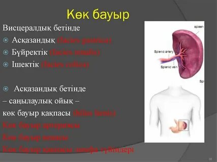 Порно мас болып ұйықтап жатқан адамдар сияқты.