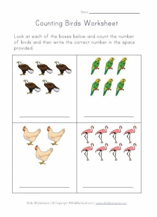 Birds Worksheets for Kids. Птицы на английском для детей упражнения. Задания по английскому тема птицы. Birds tasks for Kids.