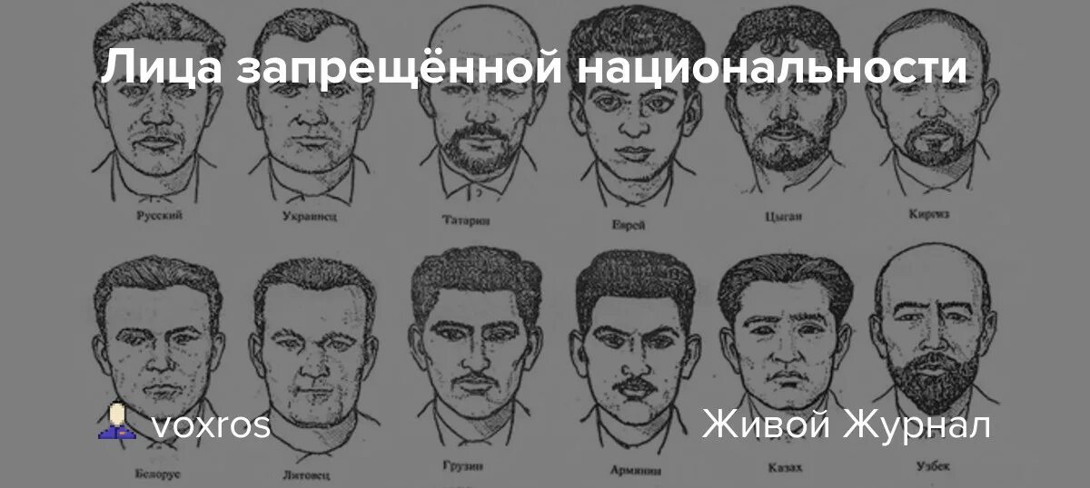 По каким признакам должны определять национальность. Типы лица по национальности. Таблица лиц по национальности. Черты лица разных национальностей. Мужчины по национальности.