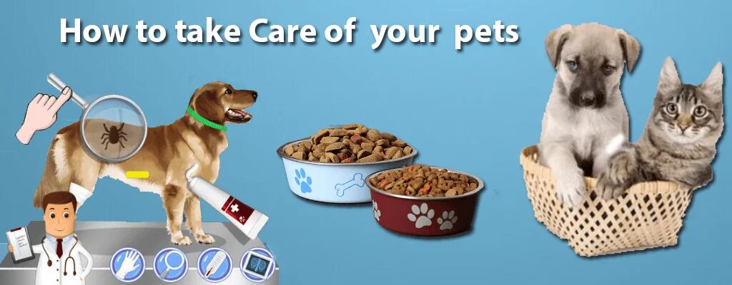 Take Care of Pet. How to take Care of your Pet. Taking Care of Pets. To take Care of. Take your pet