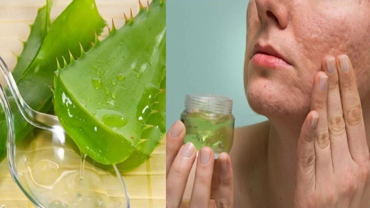 Гель для кожи Aloe Vera Gel. Лист алоэ. Листья алоэ для лица. Как использовать домашнее алоэ для лица