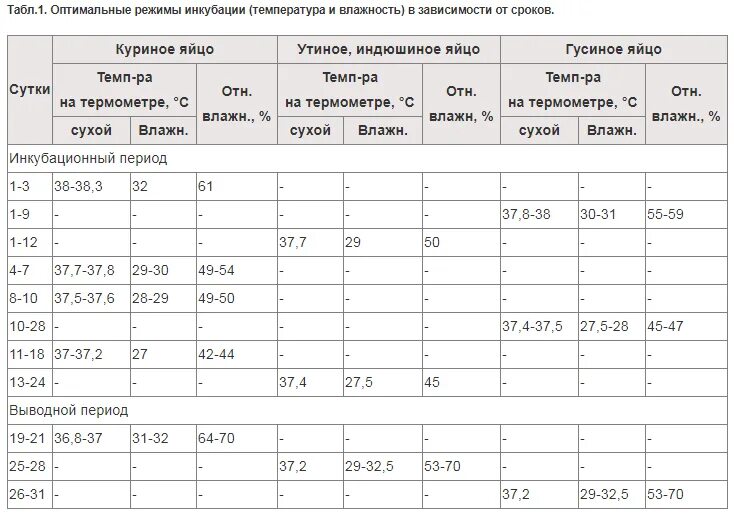 Режим инкубации блиц. Таблица инкубации гусиных яиц в инкубаторе. Режим инкубации куриных яиц таблица. Таблица вывода индюшат в инкубаторе. Таблица инкубации куриных и индюшиных яиц.