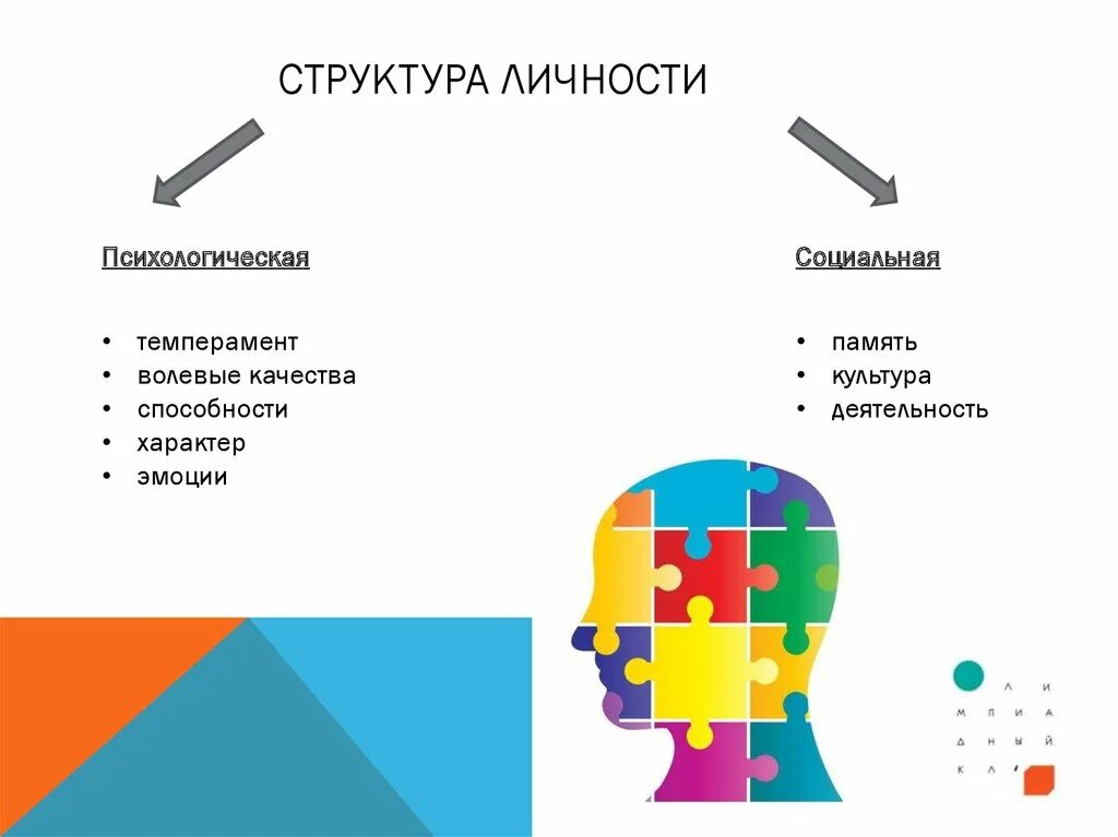 Темперамент в структуре личности. Структура личности. Строение личности. Структура личности в психологии. Психологическая структура темперамента