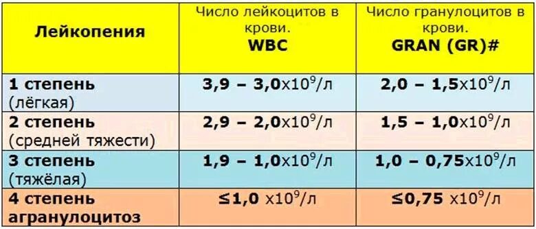 Лейкопения показатели лейкоцитов в крови. Лейкоциты 1.2 в крови после химиотерапии. Норма показателей лейкоцитов после химиотерапии. Лейкопения 3 степени. Лейкоциты снижены у мужчины