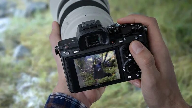 These are the first sample images shot with the new Sony A7R IV