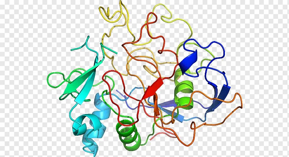 Ферменты протеины. Стероидная сульфатаза. Enzyme иконка.