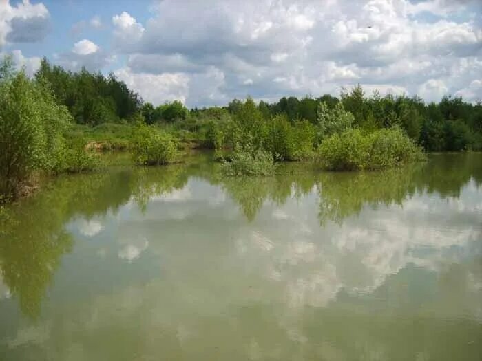 Село морево тюменская область. Озеро в тучково московская область. Морево рузский. Морево рузский. Морево рузский.