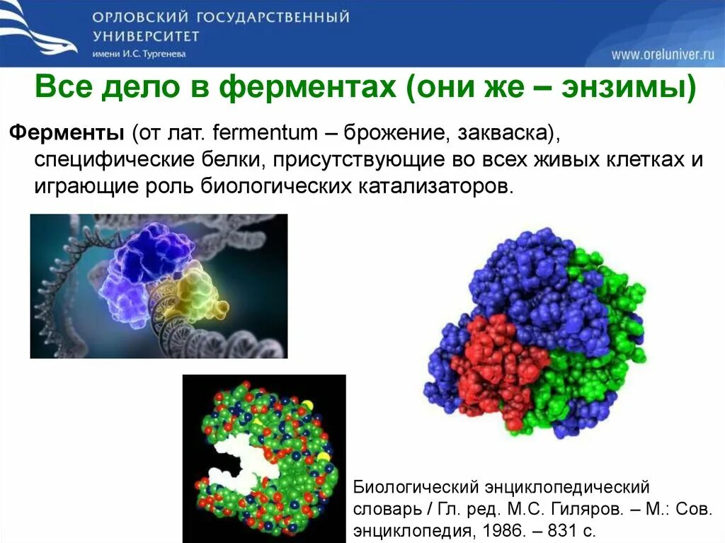 Природные ферменты. Ферменты специфические белки. Химическая природа ферментов. Ферменты по химической природе. Химическая природа и биологическая роль ферментов.