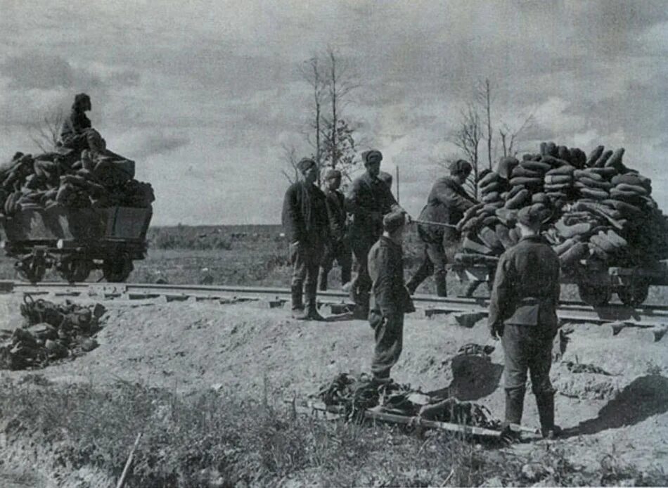 Любанская наступательная операция. Волховский фронт мясной Бор. 2 Ударная армия мясной Бор. Долина смерти Волховский фронт 1942 г.