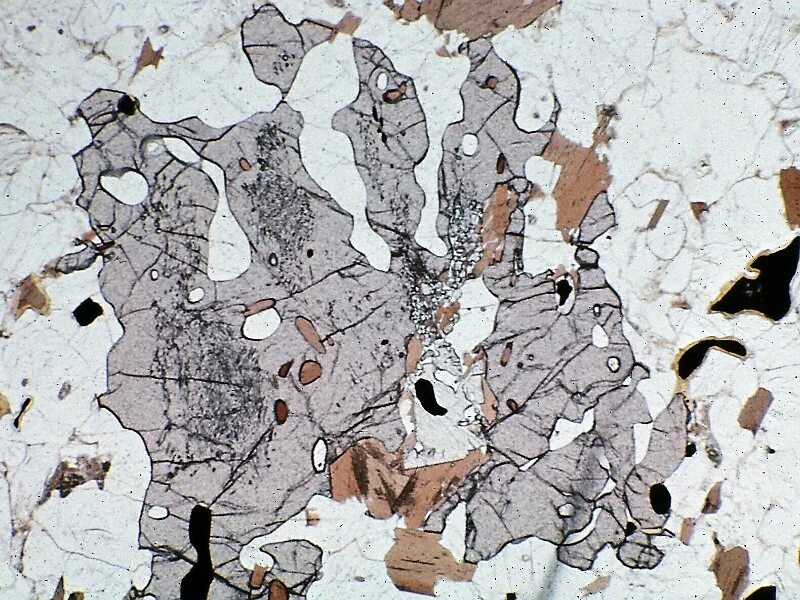 Thin sections