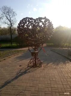 Дивьяроса дерево любви