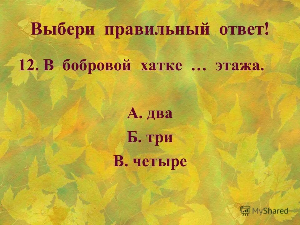 Листопадничек 3 класс ответы на вопросы. План рассказа листопаднички. Бобры храбры а для бобрят добры. Листопадничек характеристика героя. Листопадничек презентация.