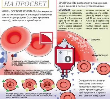Гемотрансфузия эритроцитов