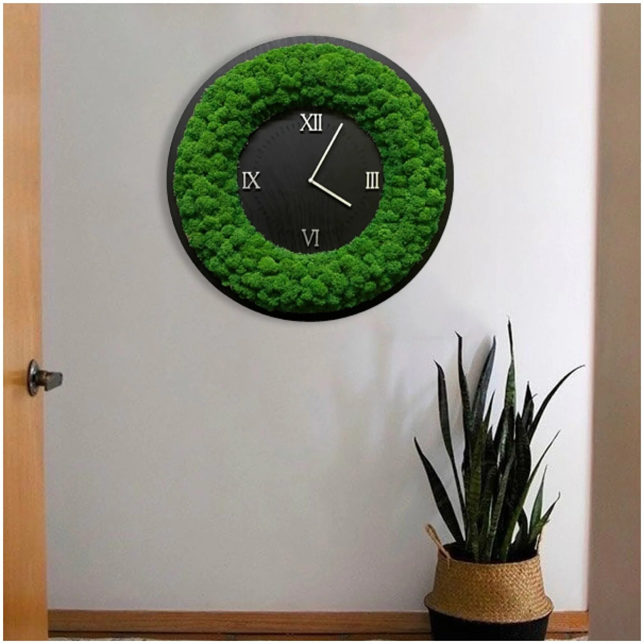 часы со стабилизированным мхом. часы из стабилизированного мха настенные. настенные часы со мхом римские. часы из стабилизированного мха настенные. часы настенные из мха.