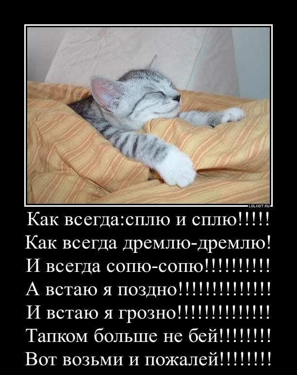 Можно пожалуйста спи