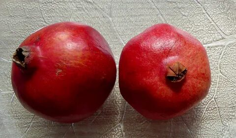 Permanent fruit