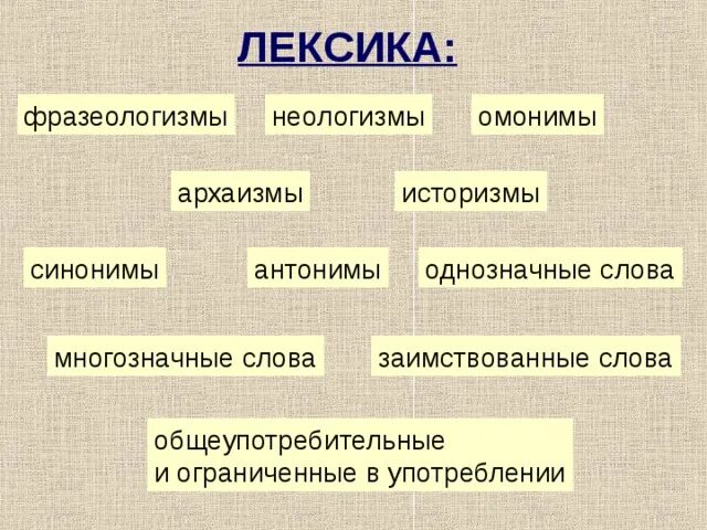 Лексика неологизмы историзмы архаизмы. Лексика и фразеологизмы. Неологизмы фразеологизмы. Лексикология неологизмы.