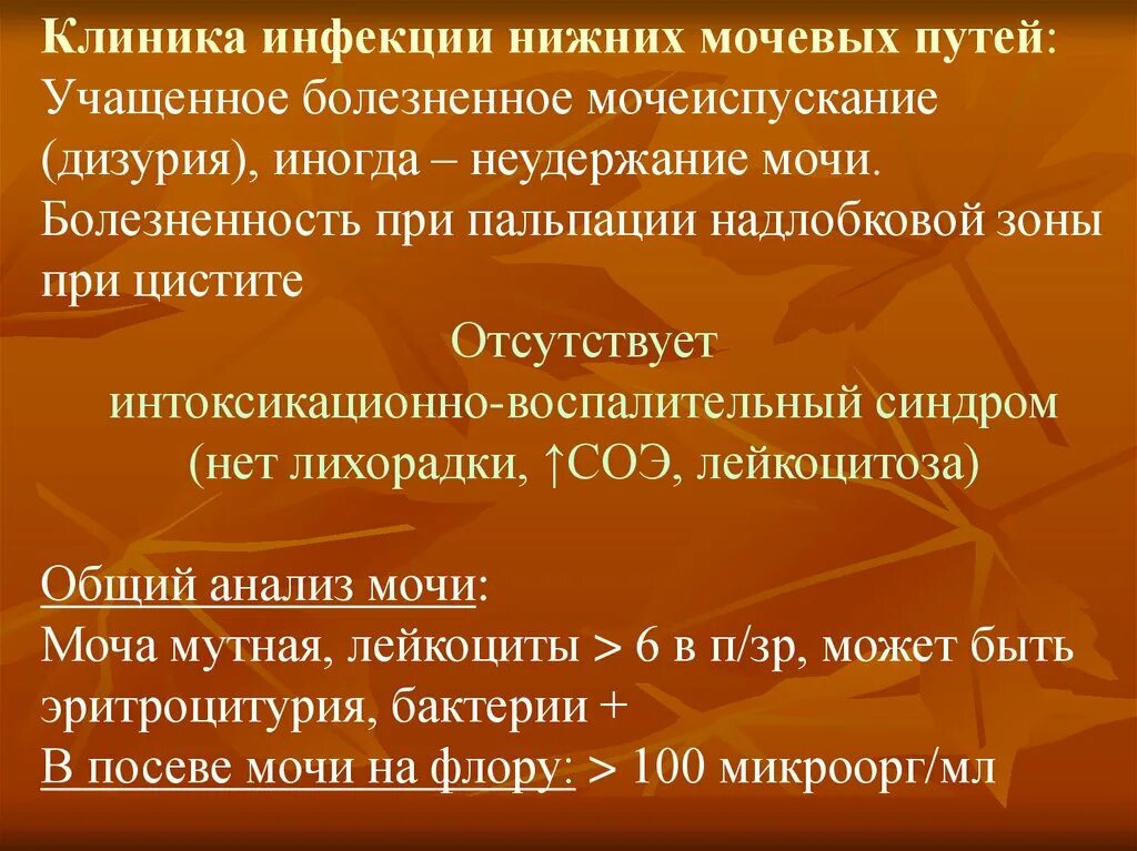 Заболевания мочевых путей. Инфекционные заболевания мочевыводящих путей. Инфекции нижних мочевыводящих путей. Клиника инфекции мочевых путей. Инфекция мочевыводящих путей клиника.