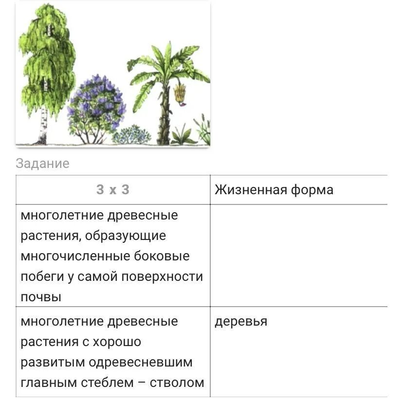 Рассмотрите таблицу жизненные формы растений и вставьте