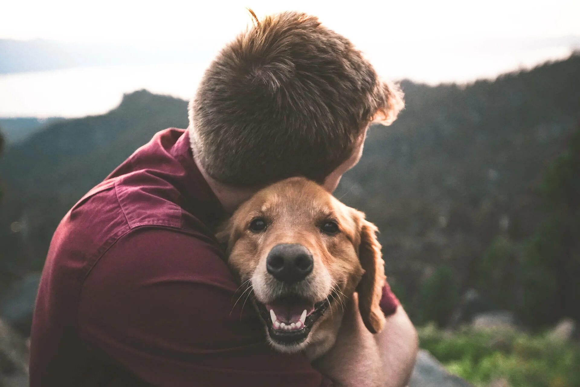 My dog best friends. Собака друг человека. Мужчина с собакой. Люди и животные. Хозяин собаки.