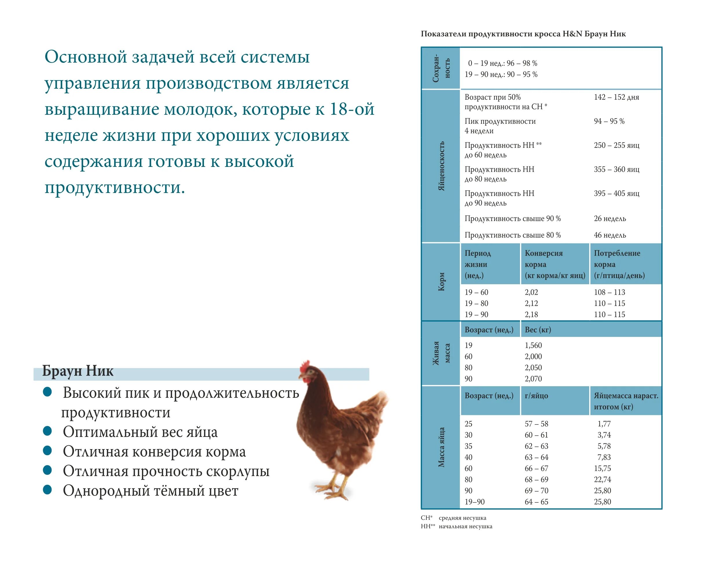 Сколько корма в день курам. Таблица продуктивности пород кур несушек. Таблица кормления кур несушек комбикормом. Схема кормления куриц- несушек. Хайсекс Браун норма корма для несушек.