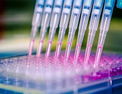 In vitro реагент