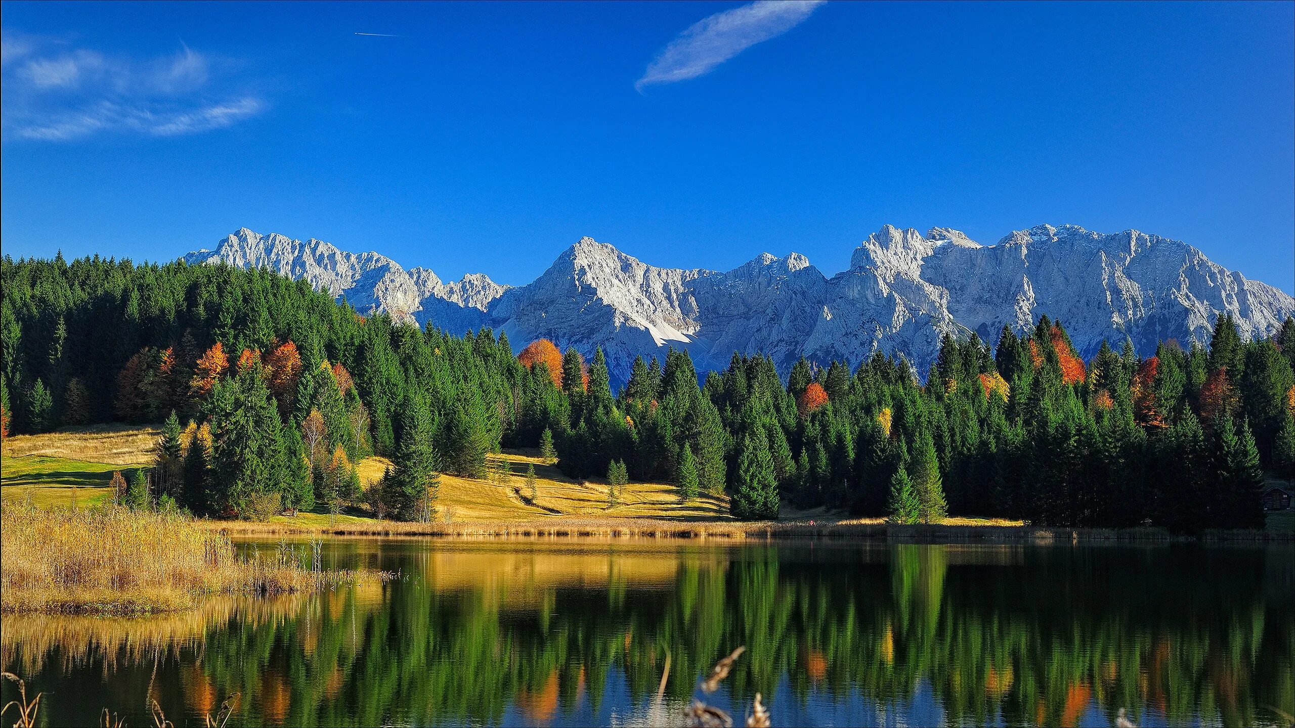 Озеро горы лес Бавария. Бавария Альпы лес. Горы озеро Альпы. Горы лес Альпы.