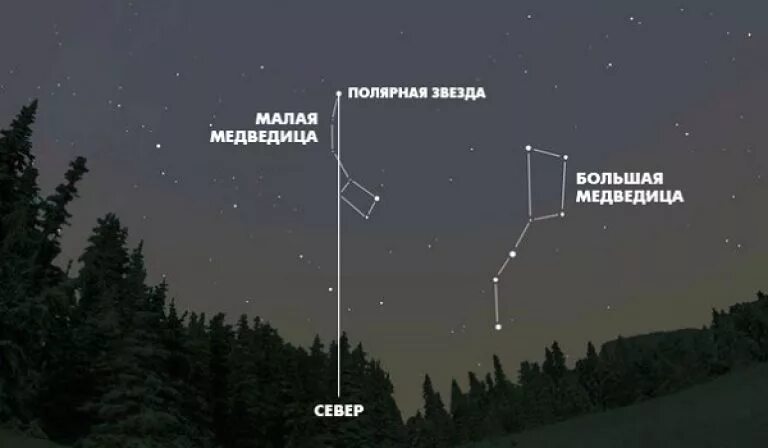 Ориентирование по звездам большая Медведица. Как отличить полярную звезду. Большая и малая Медведица на небе с полярной звездой. Большая Медведица и малая Медведица где находится.