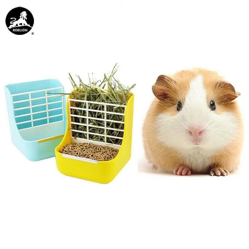 Игрушки для морских свинок фото Guinea Pig Cushion Cute guinea pigs, Guinea pigs, Pet guinea pigs