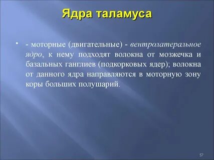 Моторно двигательное