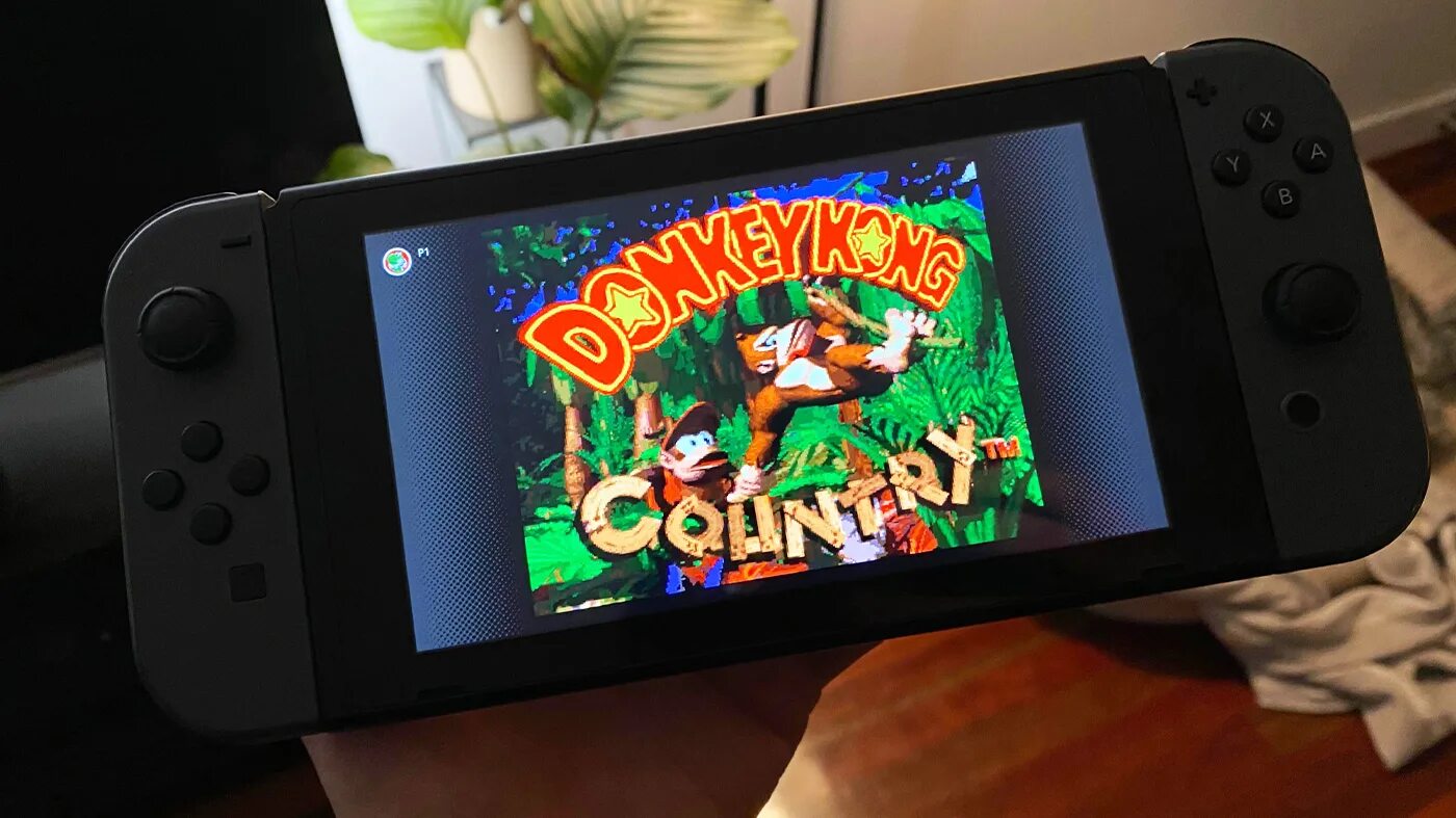 Nintendo switch donkey