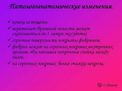 Инфекционный перитонит