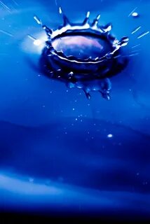 Water gave