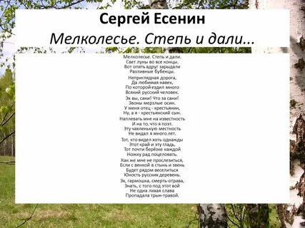 Стихотворение есенина степи дали
