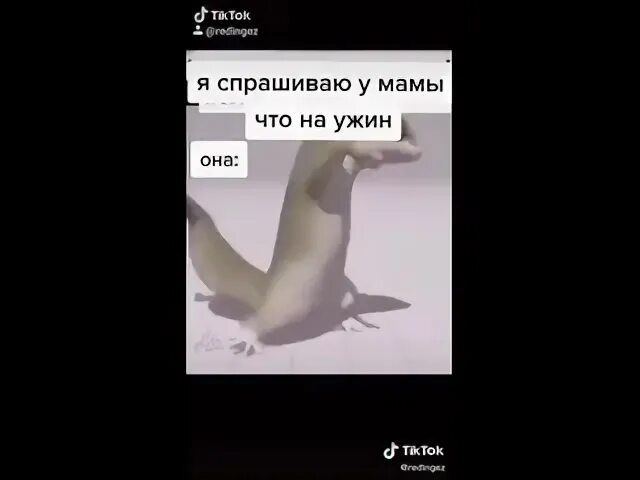 Песня тутутутуту