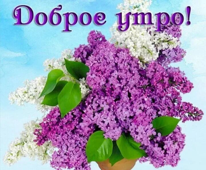 Доброе майское утречко картинки красивые
