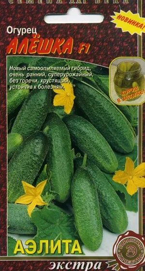 Томат алешка аэлита. Редис алешка 1г аэлита. Семена огурец алеша. Семена баклажан алеша. Сорт помидоров алешка.