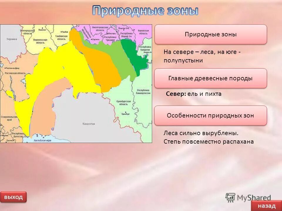 Природные зоны района поволжье