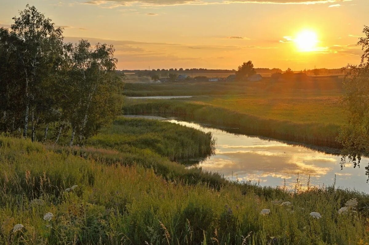 Природа родного края. Родной край омск. Родной край омск. Родной край омск. Река омка калачинск.