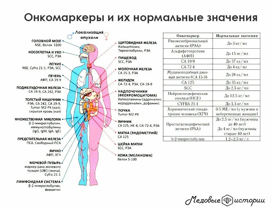 Анализ на онкологии у женщин