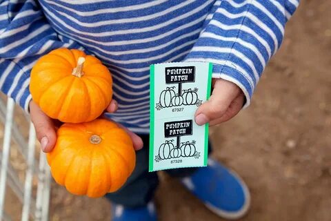 Free Pumpkin Patch Pumpkins photo and picture. 