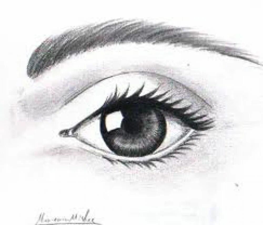 человеческий глаз рисунок карандашом. глаз простым карандашом. глаз рисунок легкий. зарисовки глаз легкие. красивый глаз карандашом.