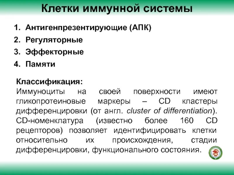 Эффекторные клетки иммунитета. Антигенпредставляющие клетки. Классификация иммуноцитов гистология. Эффекторные иммунокомпетентные клетки. Регуляторные клетки иммунной системы.