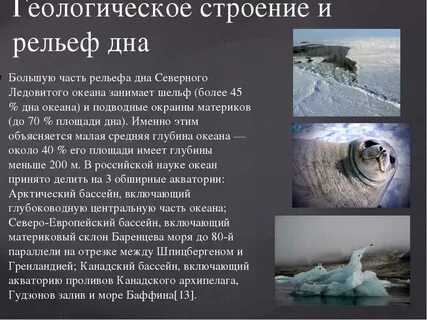 Северный океан особенности