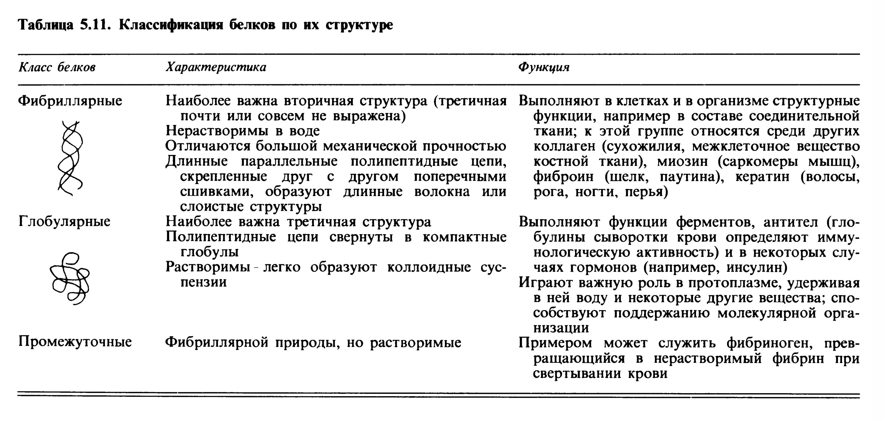 Подберите к каждому белку соответствующую функцию
