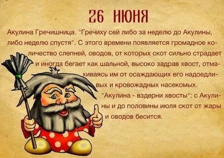 26 какой день праздник